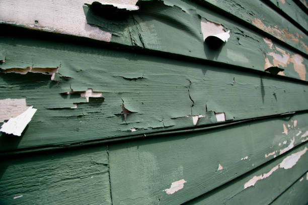 Best Stone Veneer Siding  in Riverton, UT